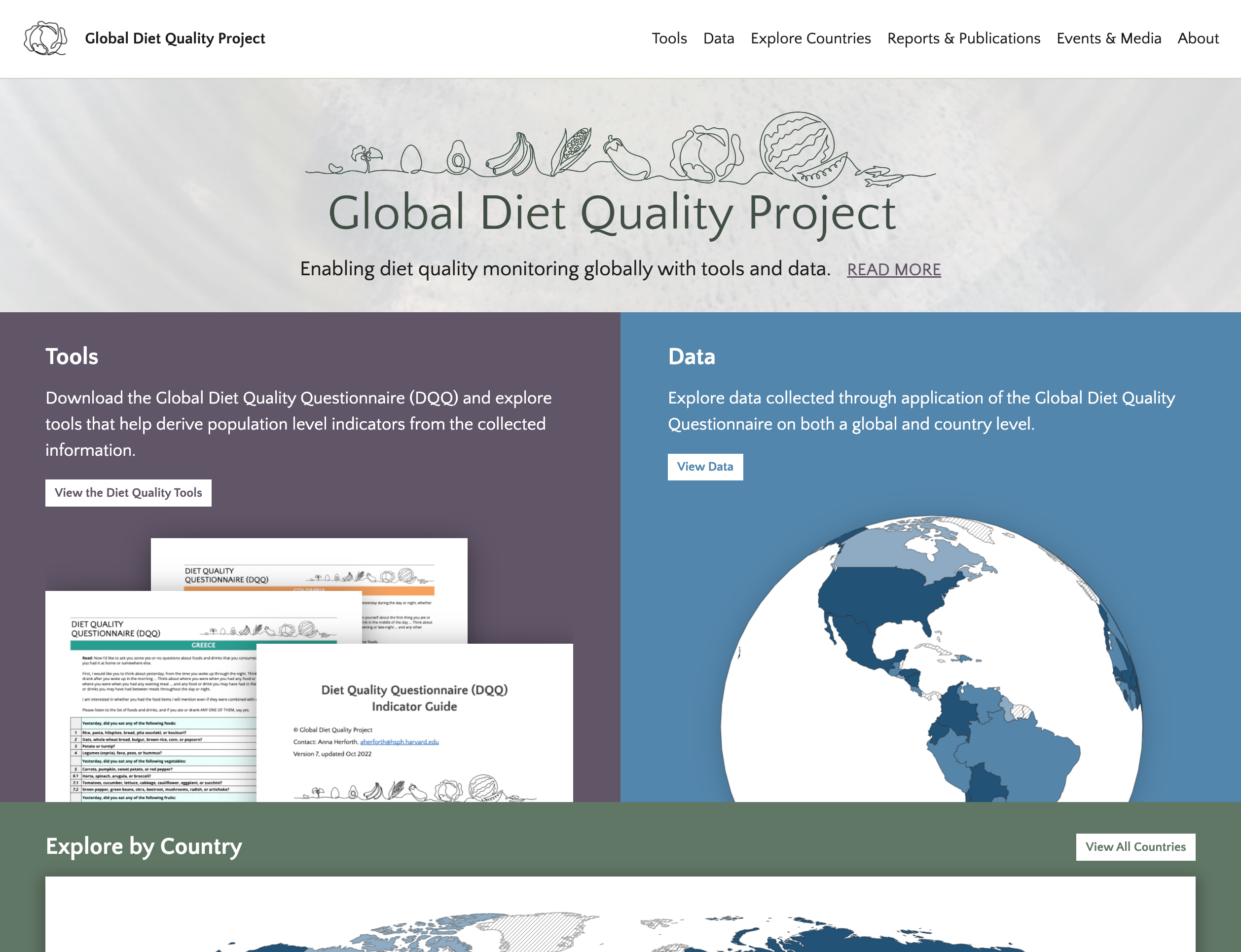 Global Diet Quality Project