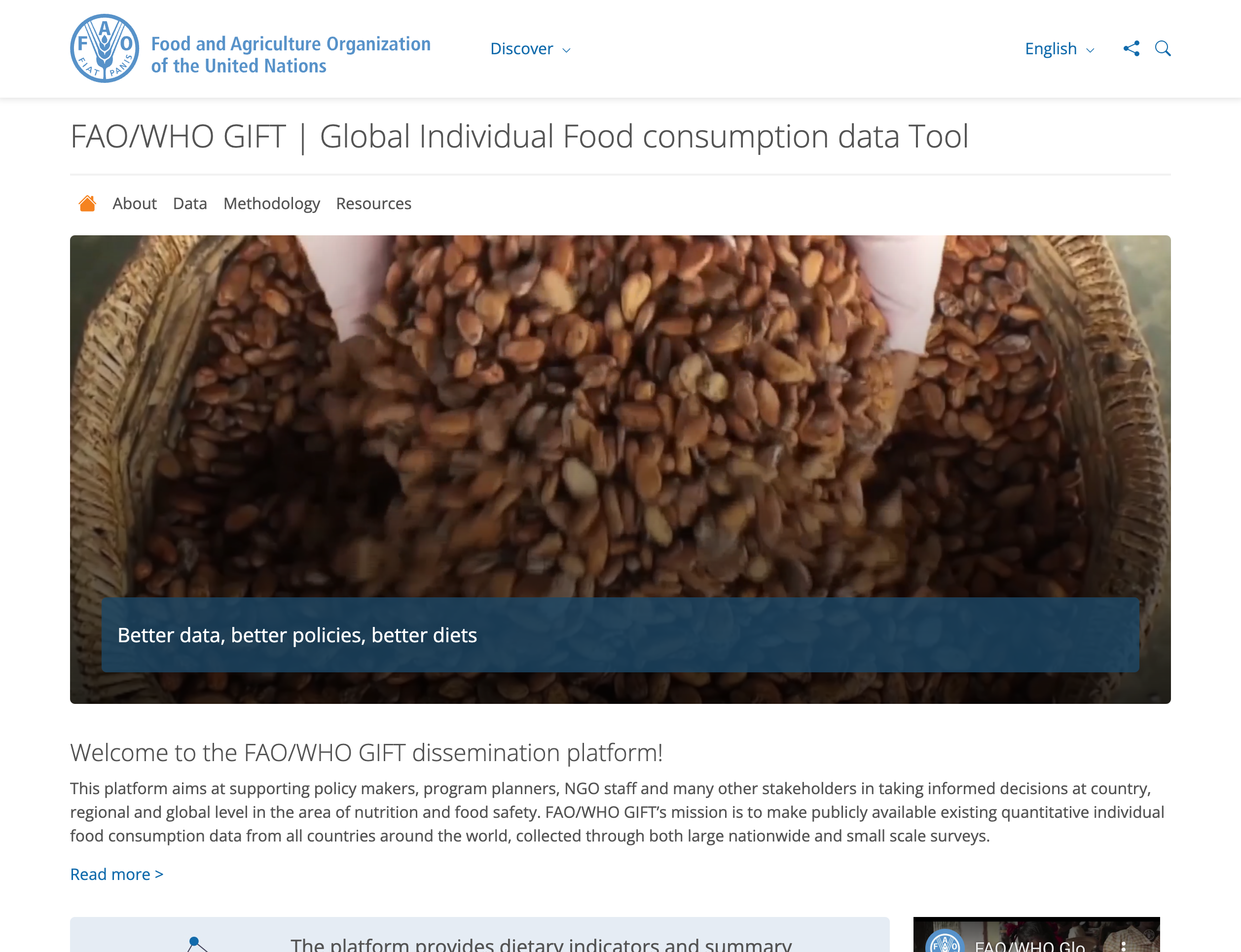 FAO/WHO Global Individual Food Consumption data Tool (GIFT)