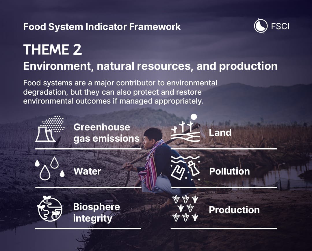 Environment, natural resources, and production